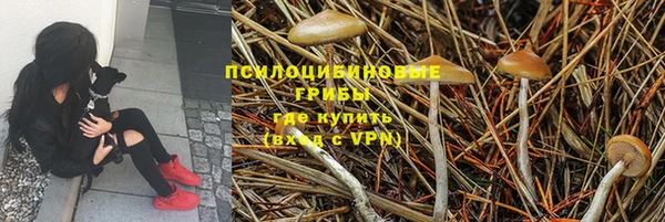 альфа пвп Армянск